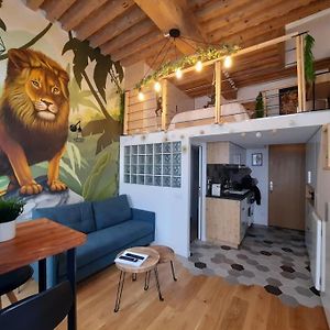 Appartement met een Slaapkamer